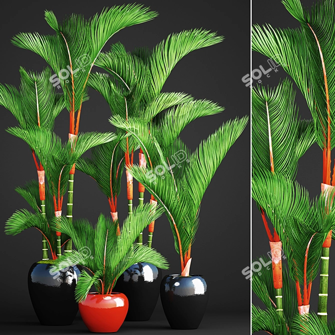 Tropical Plant Collection: Cyrtostachys 3D model image 1