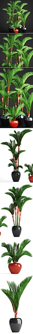 Tropical Plant Collection: Cyrtostachys 3D model image 2