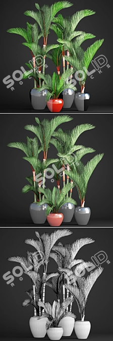 Tropical Plant Collection: Cyrtostachys 3D model image 3