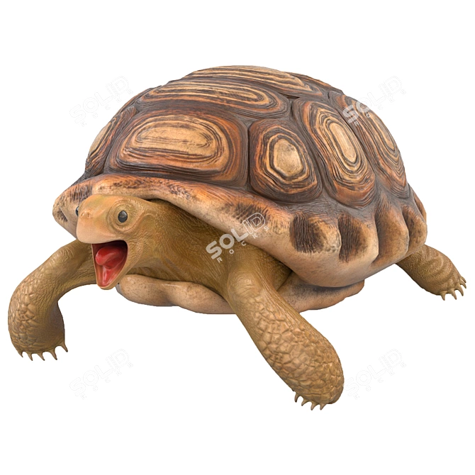 Smooth Turtle 3D Model 3D model image 1