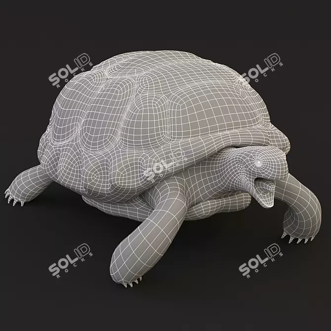 Smooth Turtle 3D Model 3D model image 3