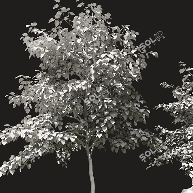 Green Summer Tree Models 3D model image 3