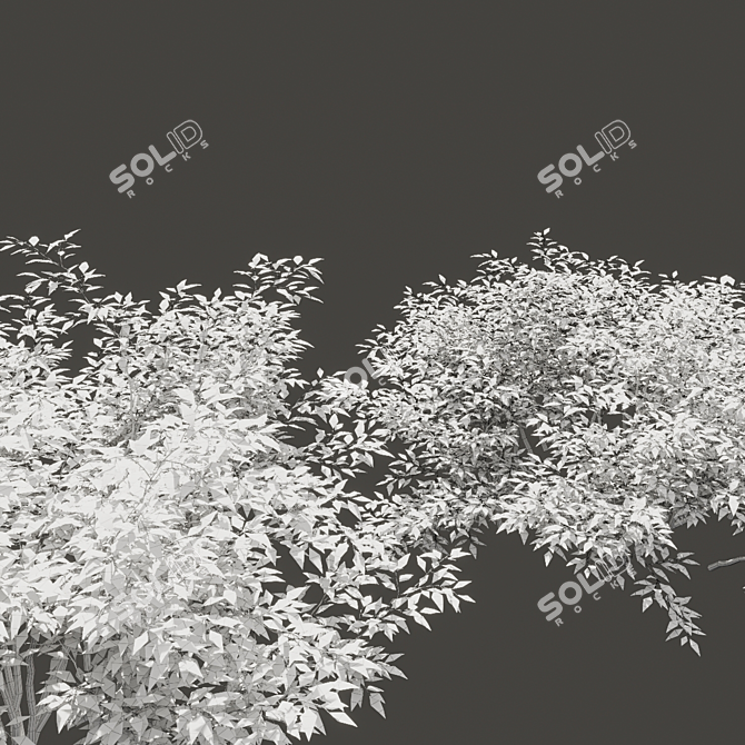 Lush Summer Foliage Duo 3D model image 3