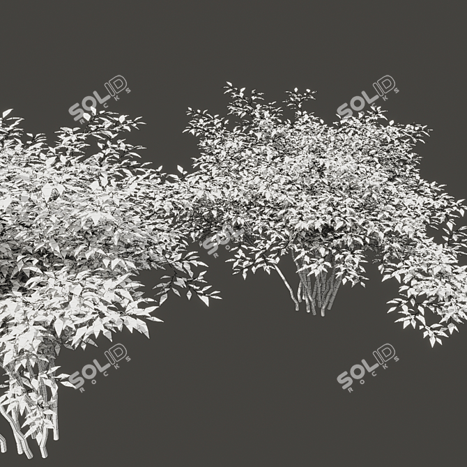 Sunny Shrubs for Scenic Hedges 3D model image 3