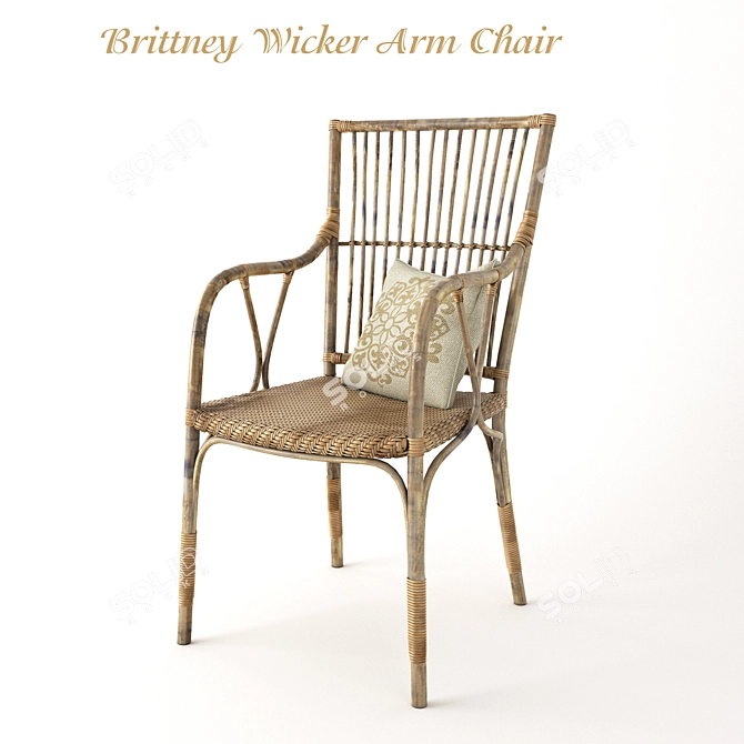 Brittney Wicker Armchair: Natural Rattan Elegance 3D model image 1