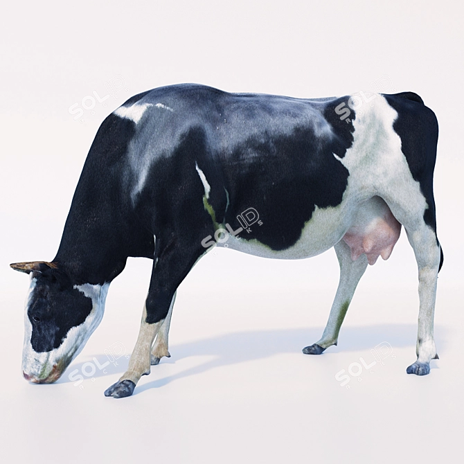 Meadow Grazing Cow 3D model image 1