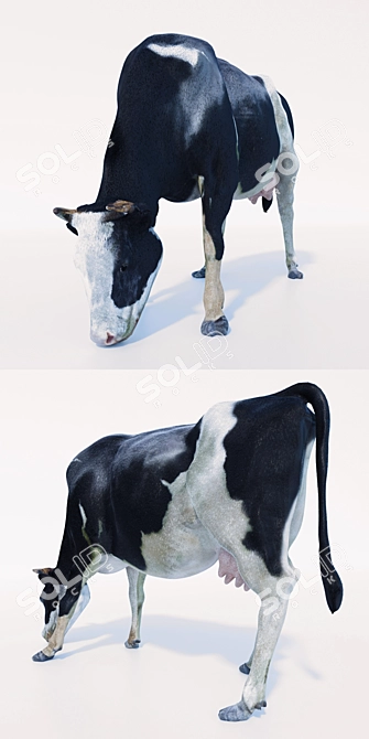 Meadow Grazing Cow 3D model image 2