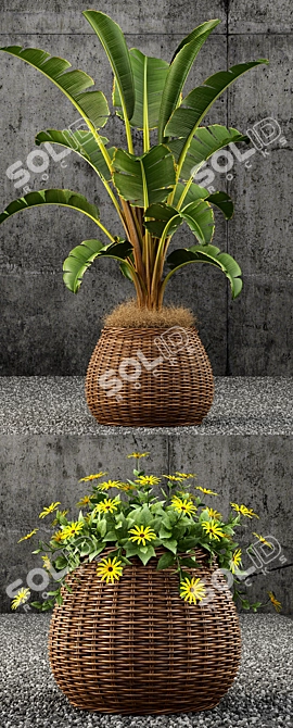 Lush Greenery: 55 Stunning Plants 3D model image 2