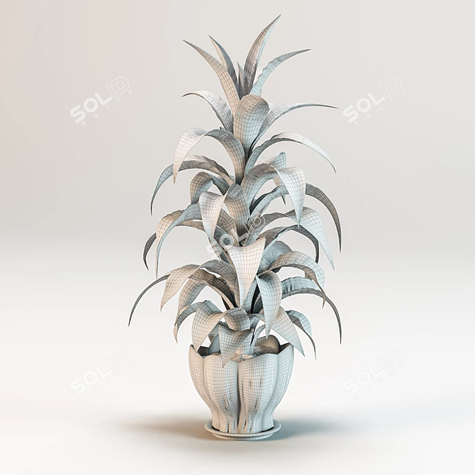 Fragrant Dracaena Plant in Pot 3D model image 3