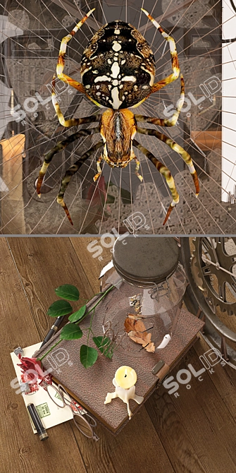 Loft Spider Decor Set 3D model image 2