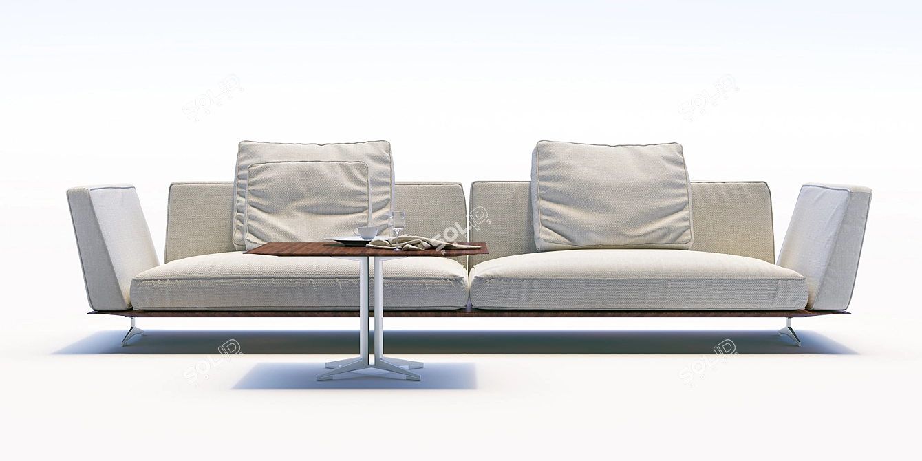 Flexform Sofa - Contemporary Couch 3D model image 2