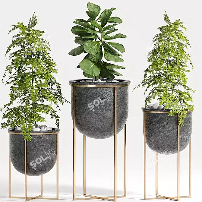 Greenery Delight Planter Set 3D model image 1