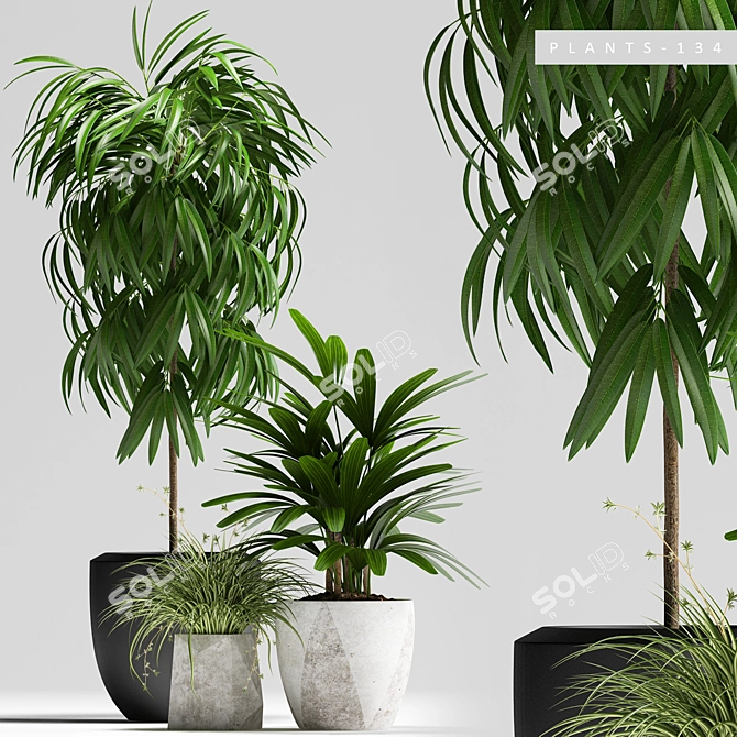 Lush Greenery Pack: PLANTS 134 3D model image 1