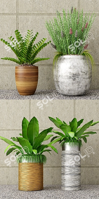 Botanical Bundle: Outdoor Plant Set 3D model image 2