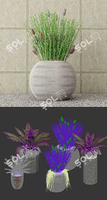 Botanical Bundle: Outdoor Plant Set 3D model image 3