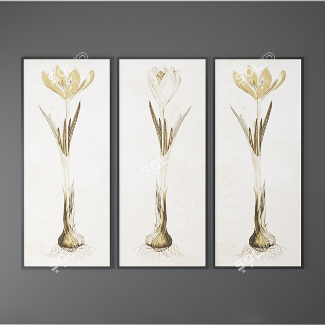 Vintage Crocus Blossom Art Print 3D model image 1