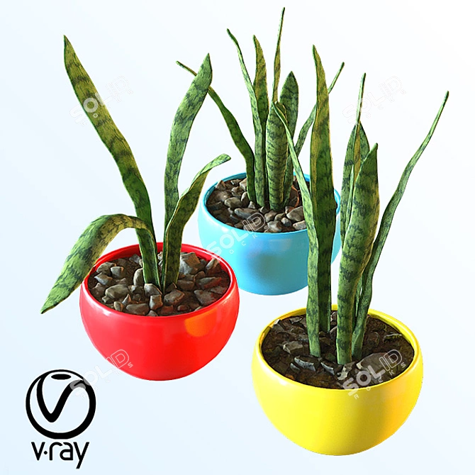 Tropical Room Plant Set (Realistic) 3D model image 1