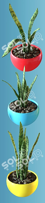 Tropical Room Plant Set (Realistic) 3D model image 3