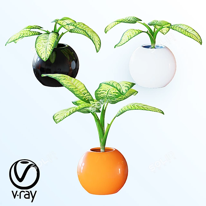 Tropical Room Plant Set 3D model image 1