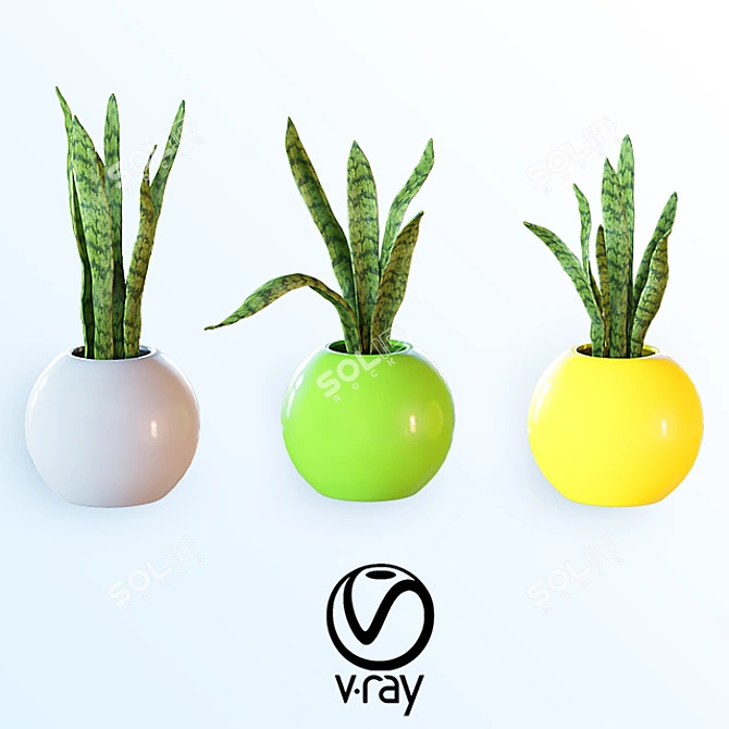 Tropical Room Plant Set 3D model image 1