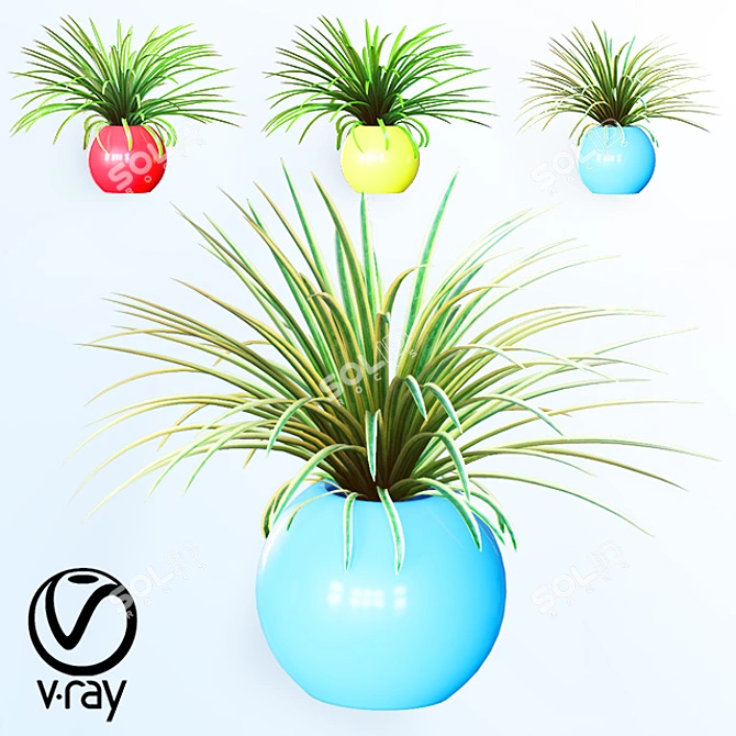 Realistic Home Plant Variety in Colorful Spheres 3D model image 1