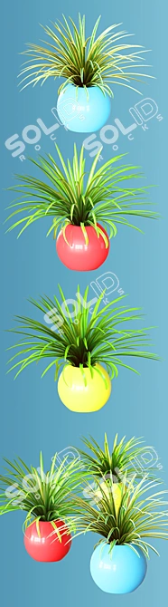 Realistic Home Plant Variety in Colorful Spheres 3D model image 3