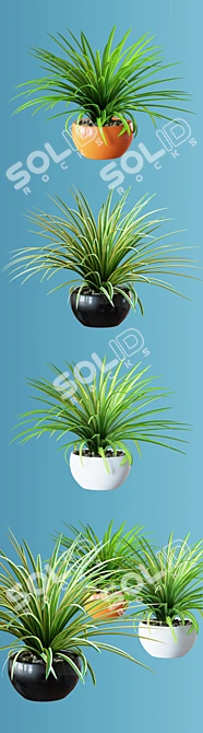 Realistic Home Plant in Multicolored Pots 3D model image 3