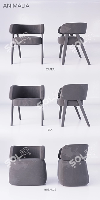 SMA Animalia Chairs: Introducing the Wild Collection 3D model image 2