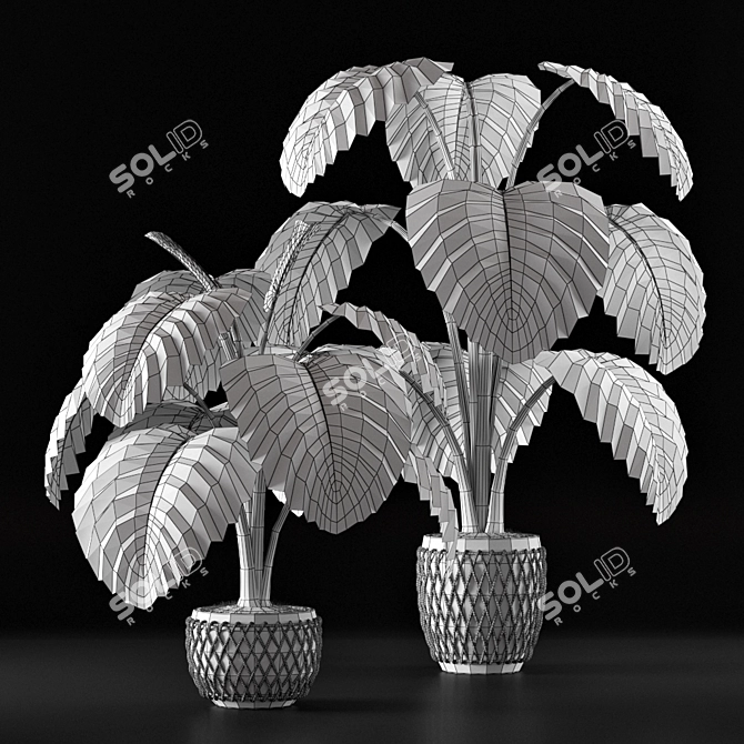 Tropical Delight: Monstera Leaf 3D model image 3