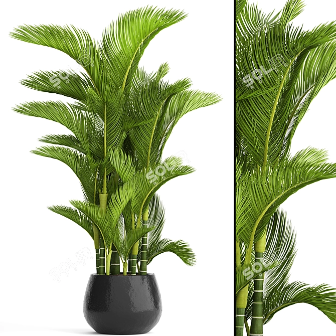 Golden Butterfly Palm Tree 3D model image 1