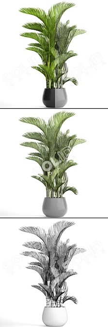 Golden Butterfly Palm Tree 3D model image 3