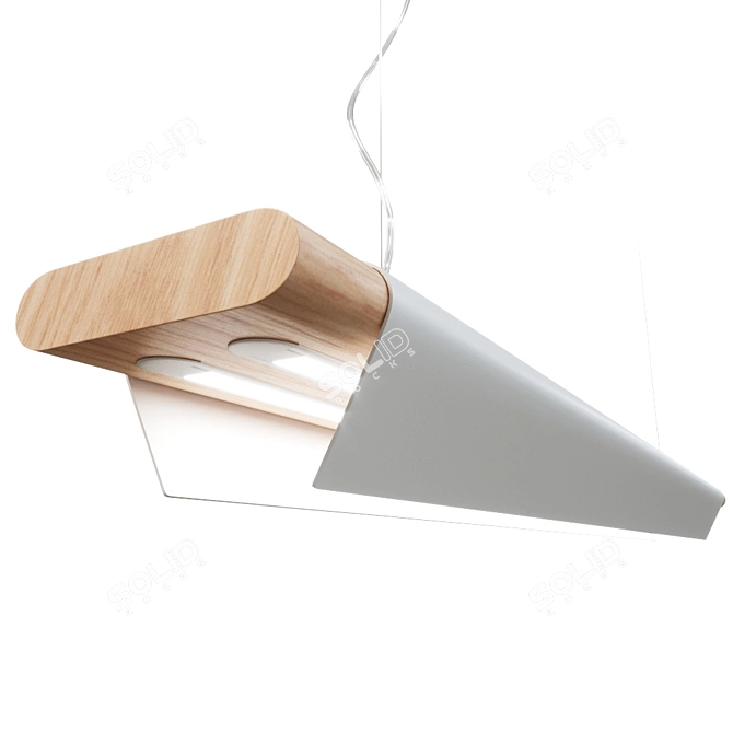 Versatile Pendant Lamp 3D model image 1