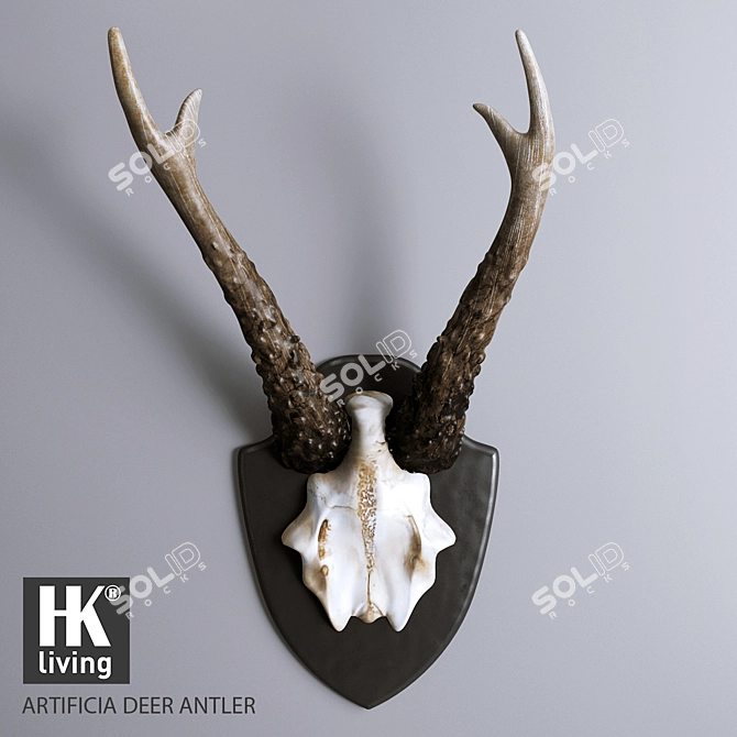 Rustic Multicolour Antler Decor 3D model image 1