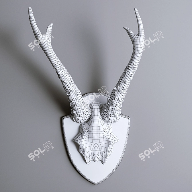 Rustic Multicolour Antler Decor 3D model image 2