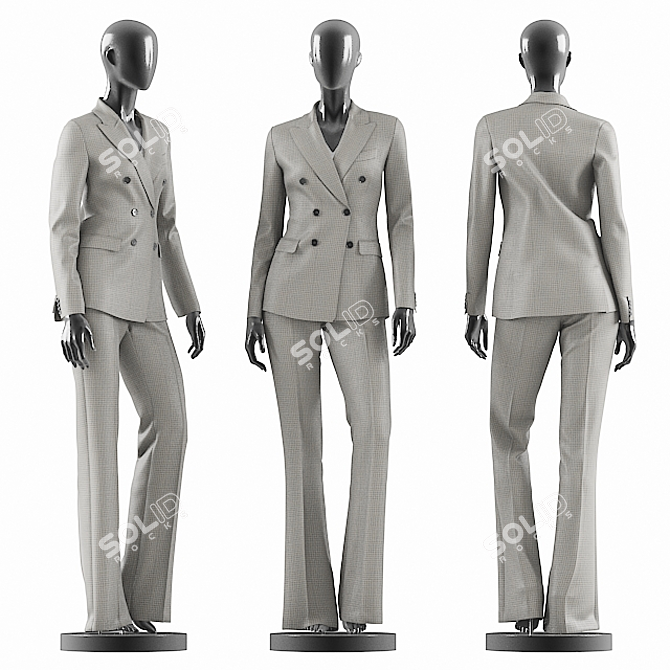 Elegant Grey Suit for Women 3D model image 1