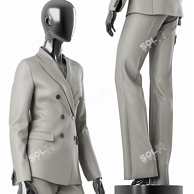 Elegant Grey Suit for Women 3D model image 2