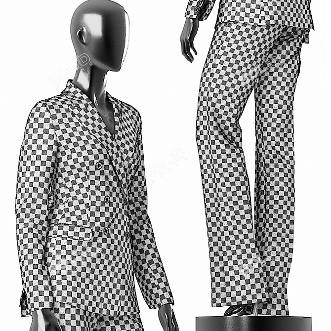 Elegant Grey Suit for Women 3D model image 3