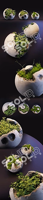 Modern Concrete Planters with Lush Greenery 3D model image 2