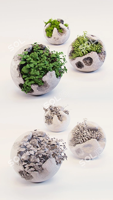 Modern Concrete Planters with Lush Greenery 3D model image 3