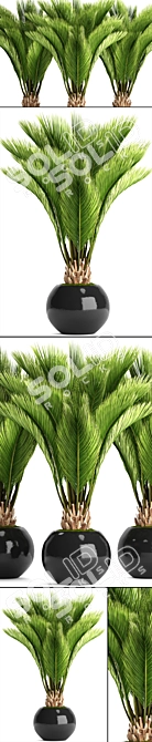 Tropical Oasis: Palm 3D model image 2