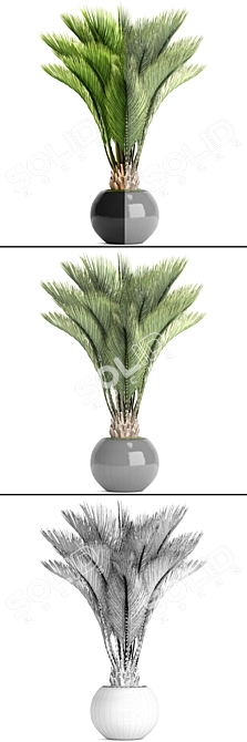 Tropical Oasis: Palm 3D model image 3