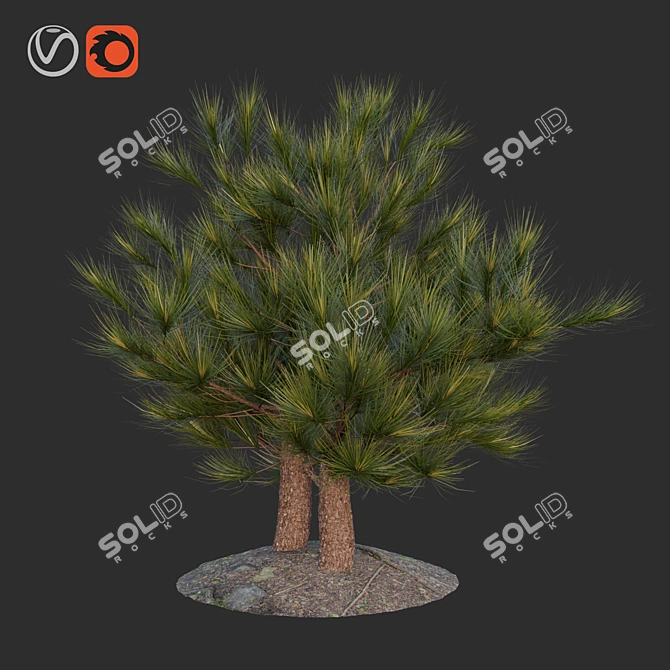 Charming Pine Miniature 3D model image 1