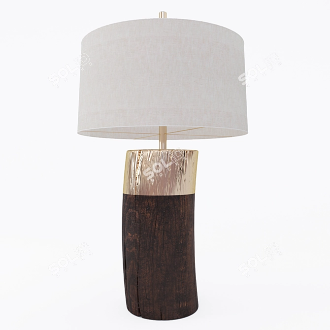 Modern Emery Table Lamp 3D model image 1