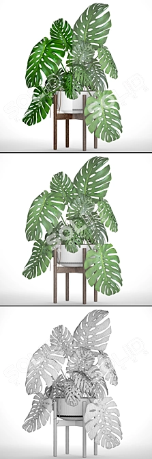 Title: Tropical Monstera Leaf Print 3D model image 3