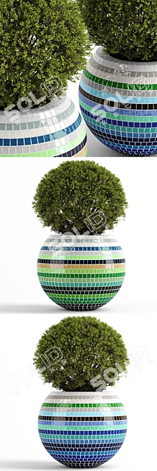 Mosaic Pot Box Tree 3D model image 2