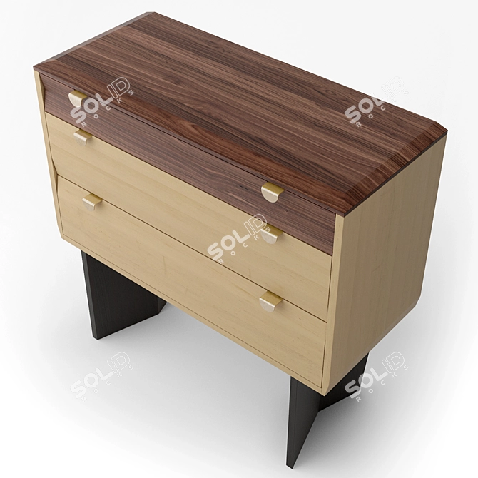 Dusty Drawers: Handcrafted Wooden Chest 3D model image 3