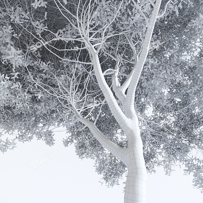 Title: Iva Spheroidal: Versatile Tree for Construction and Agriculture 3D model image 3