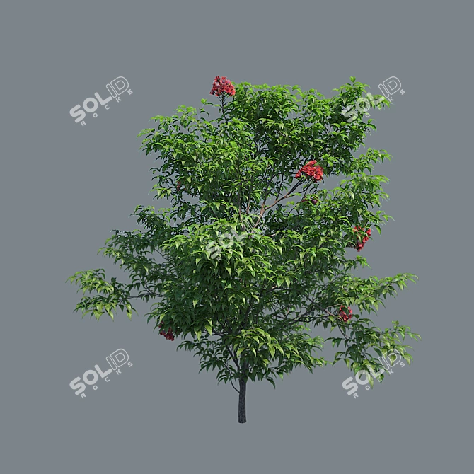 Exquisite Detailed Shrub 3D model image 1