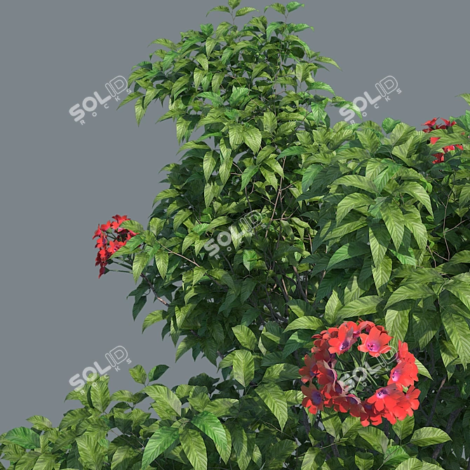 Exquisite Detailed Shrub 3D model image 2