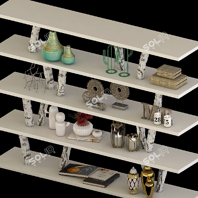 Rustic Elegance Birch Bookcase 3D model image 2